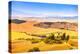 Tuscany, Farmland and Cypress Trees, Green Fields. San Quirico Orcia, Italy.-stevanzz-Premier Image Canvas