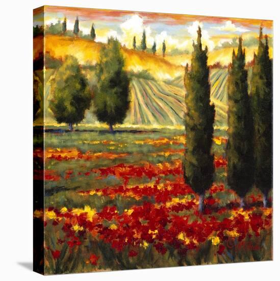 Tuscany in Bloom III-JM Steele-Premier Image Canvas