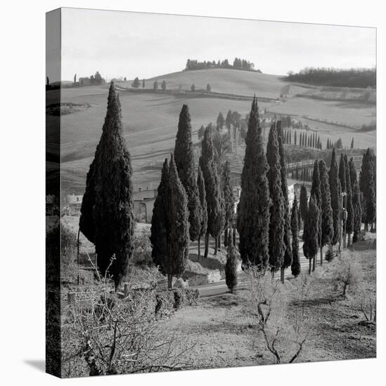 Tuscany IV-Alan Blaustein-Stretched Canvas