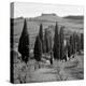 Tuscany IV-Alan Blaustein-Premier Image Canvas