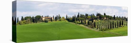 Tuscany landscape with farm, cypress and olive trees. Tuscany, Italy.-Tom Norring-Premier Image Canvas