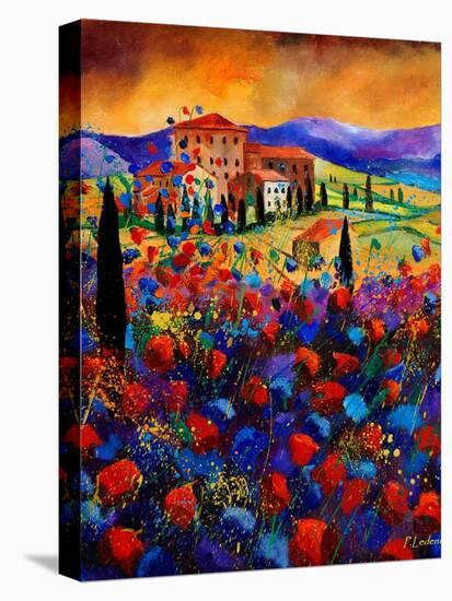 Tuscany Poppies-Pol Ledent-Stretched Canvas