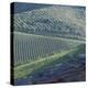 Tuscany, Sense of Place-Mike Burton-Premier Image Canvas