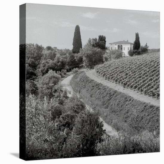 Tuscany V-Alan Blaustein-Stretched Canvas