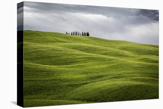 Tuscany, Val D'Orcia, Italy. Cypress Trees in Green Meadow Field with Clouds Gathering-Francesco Riccardo Iacomino-Premier Image Canvas