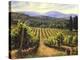 Tuscany Vines-Michael Swanson-Stretched Canvas