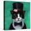 Tuxedo Cat-Lucia Heffernan-Stretched Canvas