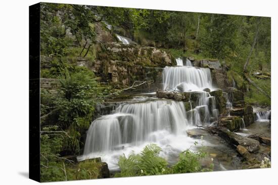 Tvindefossen Waterfall, Tvinde Near Voss, Hordaland, Norway, Scandinavia, Europe-Gary Cook-Premier Image Canvas