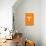 Tweet Me Baby All Day Long Orange Poster-NaxArt-Stretched Canvas displayed on a wall