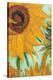 Twelve Sunflowers (detail)-Vincent van Gogh-Stretched Canvas