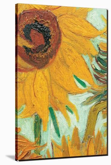 Twelve Sunflowers (detail)-Vincent van Gogh-Stretched Canvas