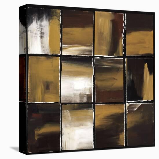 Twelve Windows II-Mark Pulliam-Stretched Canvas