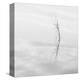 Twig Hyatt Lake-Shane Settle-Stretched Canvas