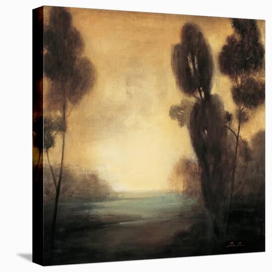 Twilight I-Simon Addyman-Stretched Canvas