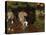 Twilight the Game of Croquet-Pierre Bonnard-Premier Image Canvas