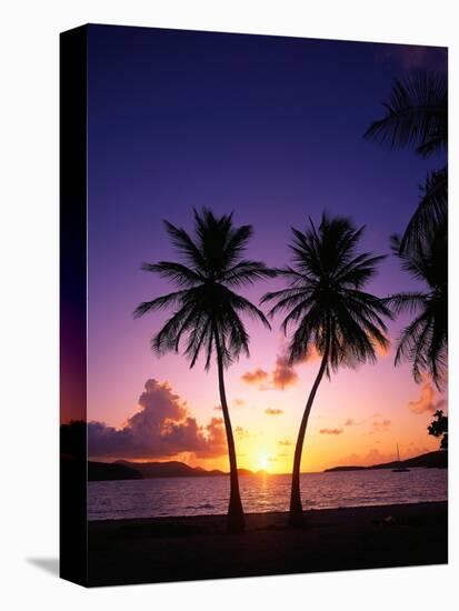 Twin Palms at Sunset-Bill Ross-Premier Image Canvas