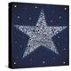Twinkle, Twinkle Little Star-null-Stretched Canvas