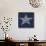 Twinkle, Twinkle Little Star-null-Stretched Canvas displayed on a wall