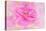 Twirl-Jacky Parker-Premier Image Canvas
