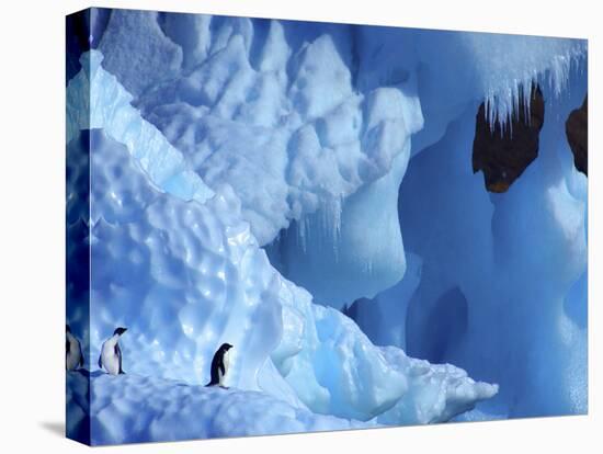 Two Adelie Penguins on Iceberg, Antarctica-Edwin Giesbers-Premier Image Canvas