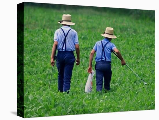 Two Amish Boys Walk with Their Golf Clubs Through a Field of Soy Beans-null-Premier Image Canvas