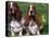 Two Basset Hounds, Domestic Dog,Amongst Daffodils, USA-Lynn M. Stone-Premier Image Canvas