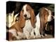 Two Bassett Hound Pups-Lynn M. Stone-Premier Image Canvas