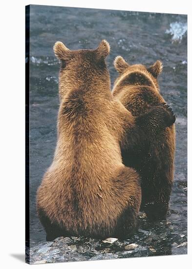 Two Bear Cubs-Art Wolfe-Stretched Canvas