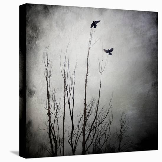 Two Bird Flying Near a Tree-Luis Beltran-Premier Image Canvas