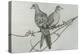 Two Birds on Branch-Rusty Frentner-Premier Image Canvas