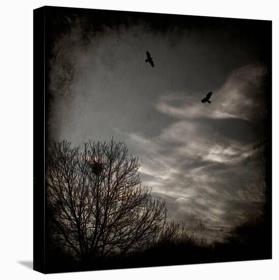 Two Birds Retum to Nest at Dusk-Luis Beltran-Premier Image Canvas