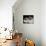 Two Birman Cats Showing Deep Blue Eyes-Adriano Bacchella-Premier Image Canvas displayed on a wall