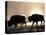 Two Bison Silhouetted Against Rising Sun, Yellowstone National Park, Wyoming, USA-Pete Cairns-Premier Image Canvas