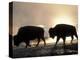 Two Bison Silhouetted Against Rising Sun, Yellowstone National Park, Wyoming, USA-Pete Cairns-Premier Image Canvas