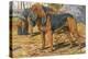 Two Bloodhounds Standing-Louis Agassiz Fuertes-Stretched Canvas