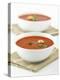 Two Bowls of Tomato Soup-Matt Johannsson-Premier Image Canvas