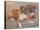 Two Boxer Dogs-Janet Pidoux-Premier Image Canvas