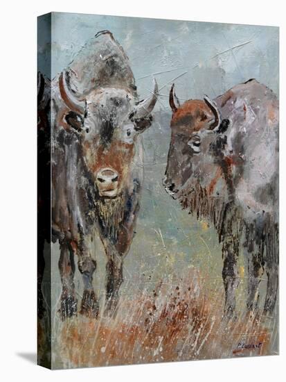 Two Buffaloes-Pol Ledent-Stretched Canvas