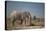 Two Bull Elephants in Etosha National Park, Namibia-Alex Saberi-Premier Image Canvas