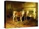 Two Calves in a Barn-Walter Hunt-Premier Image Canvas