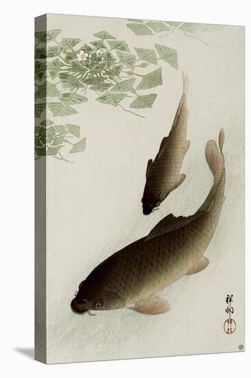 Two Carp and Blooming Water Plants-Koson Ohara-Premier Image Canvas