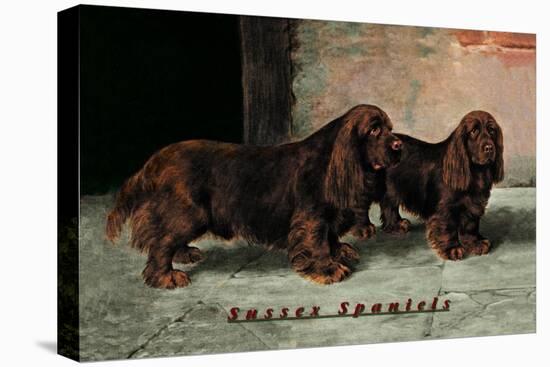 Two Champion Sussex Spaniels-null-Stretched Canvas