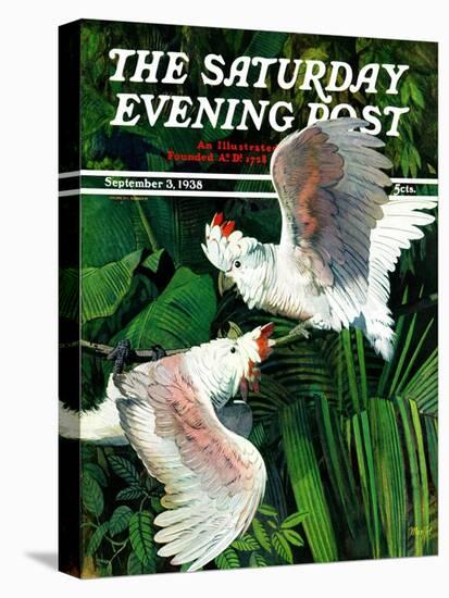 "Two Cockatoos," Saturday Evening Post Cover, September 3, 1938-Julius Moessel-Premier Image Canvas