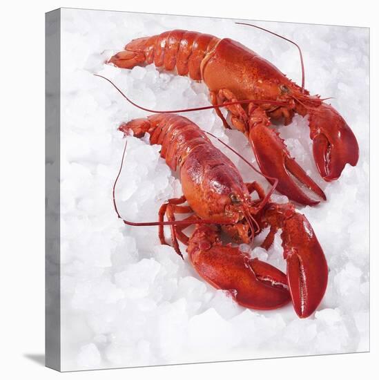 Two Cooked Lobsters on Ice-Jürgen Holz-Premier Image Canvas