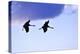 Two Cranes in the Flight-Reiner Bernhardt-Premier Image Canvas