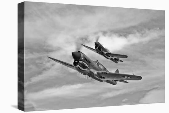 Two Curtiss P-40 Warhawks in Flight Near Nampa, Idaho-null-Premier Image Canvas