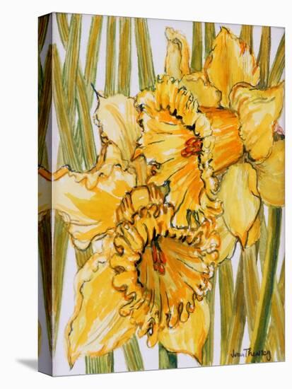 Two Daffodils, 2001-Joan Thewsey-Premier Image Canvas