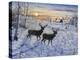 Two Deer in the Moonlight-Jeff Tift-Premier Image Canvas