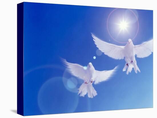Two Doves Side by Side with Wings Outstretched in Flight with Brilliant Light And Blue Sky-null-Premier Image Canvas