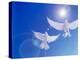 Two Doves Side by Side with Wings Outstretched in Flight with Brilliant Light And Blue Sky-null-Premier Image Canvas